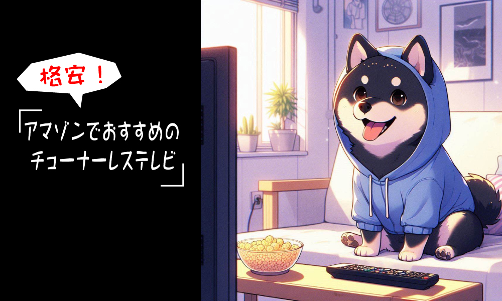 地上波はもういらない！格安の「チューナーレステレビ」で動画配信だけ見よう！